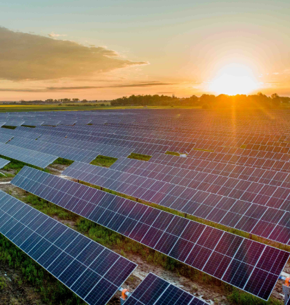 Screenshot 2025-08-21 094649